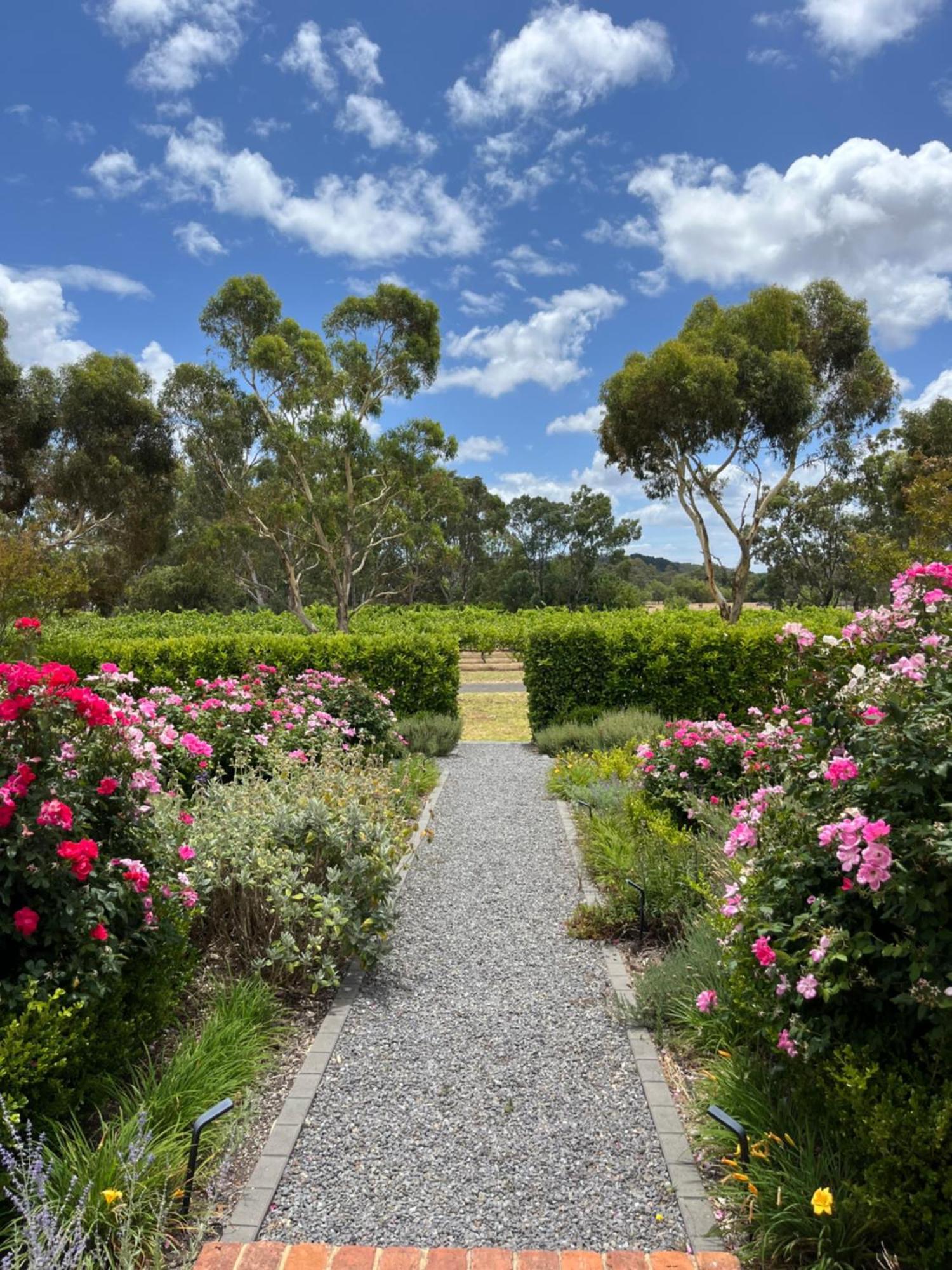 Вилла Oxenberry Farm Макларен-Вейл Экстерьер фото