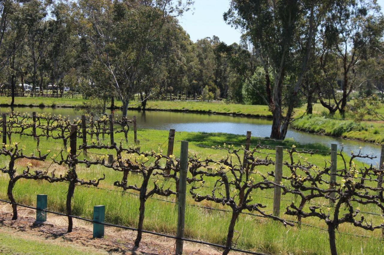 Вилла Oxenberry Farm Макларен-Вейл Экстерьер фото